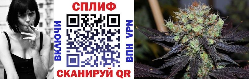 Бошки марихуана гибрид  продажа наркотиков  Нижнеудинск 